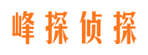 魏都婚外情调查取证